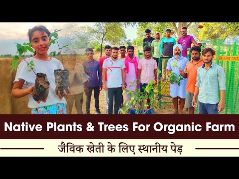 Natives Plants & Trees For Organic Farm