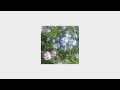 Maybe In Another Life Playlist