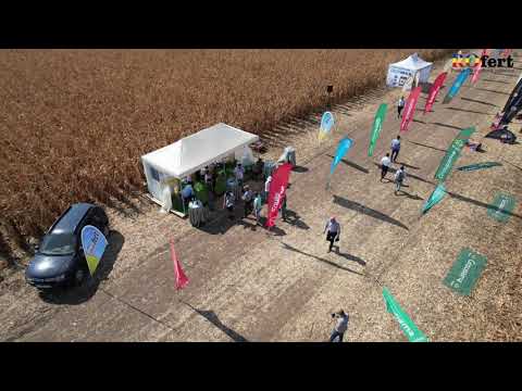 Orezu Ziua Porumbului 2021