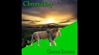 Download lagu Green screen singa || green screen lion mp3 Download lagu Green screen singa || green screen lion mp3