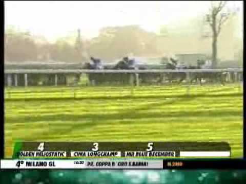 03/11/2013, Milano , Premio Coppa D'oro E.badini