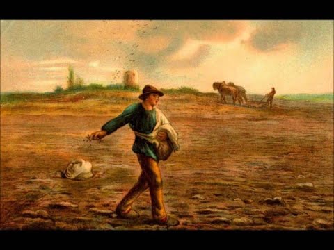 Bendição - Silvestre Kuhlmann
