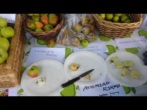 download lagu mp3 mp4 Charles Ross Apple, download lagu Charles Ross Apple gratis, unduh video klip Charles Ross Apple