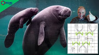 Cutest Sudoku in the Sea?