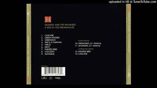 Siouxsie &amp; The Banshees-Painted Bird