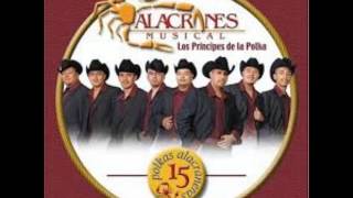 Alacranes Musical Los alamitos