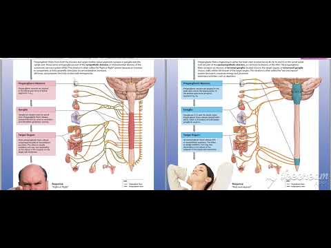 Glossopharyngeal intro 1