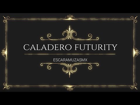 ERIKA ABUNDEZ | CALADERO FUTURITY 2019