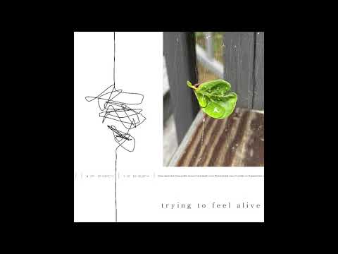 Trying to Feel Alive