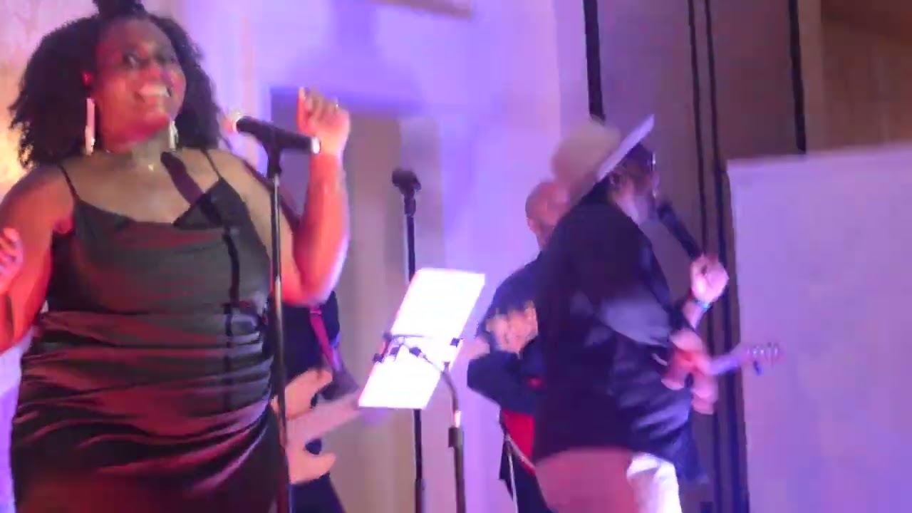 Promotional video thumbnail 2 for Party Vibez Band