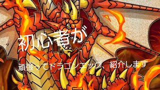 【ドラゴンエッグ】初心者なりにバッサリ紹介をしてみたり