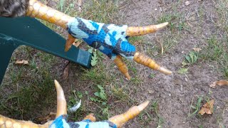 How to treat bumblefoot.