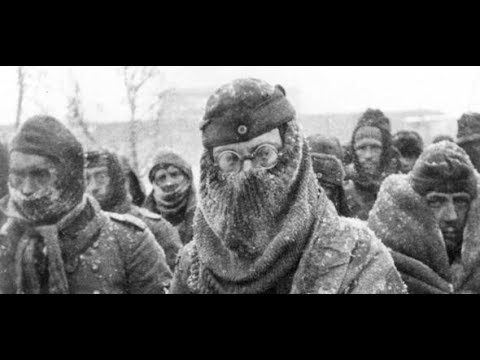 Stalingrad 1943: Warum 95 Prozent der Kriegsgefangenen starben