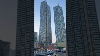 Dinner #cruise #bangkok #shorts #trendingshorts #viral #trend