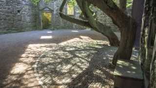 the Squire's Quest / Richard Altenbach:Composer