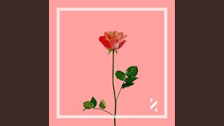 She's Beautiful Music Video