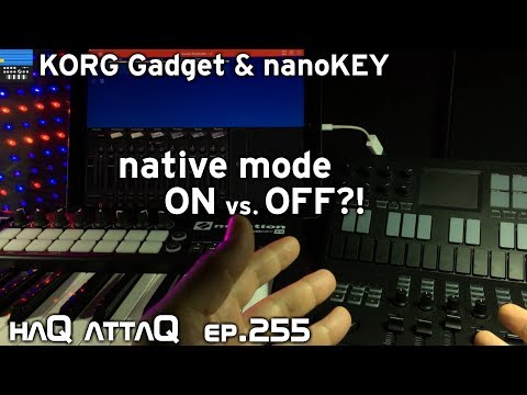 nanoKEY Native Mode ON or OFF ? │ KORG Gadget Advanced MIDI tutorial - haQ attaQ 255