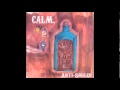 Calm. - Friend Minus R