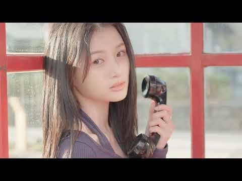 비디오 13