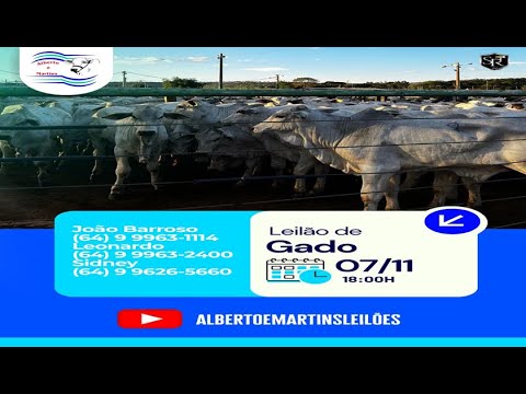 LEILÃO ALBERTO e MARTINS 07/11/2025 AS 18:00 hs em Cachoeira Alta Go.