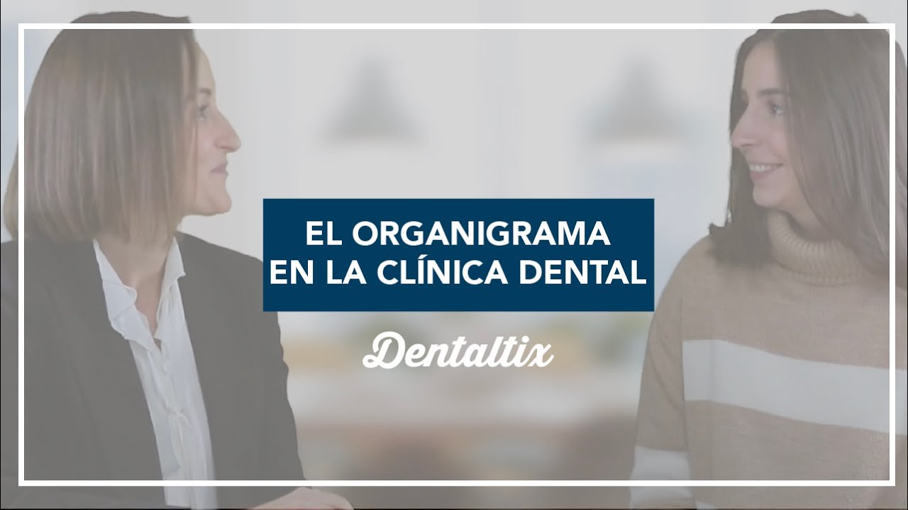 El Organigrama en la Clínica Dental: ¿qué es y por qué es tan importante