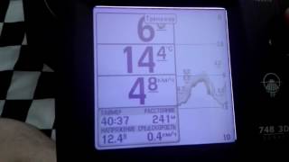 Wide 3d paramount humminbird