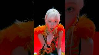 Look at #WINTER 🐶📸#aespa #에스파 #윈터 #Supernova #aespaSupernova #Armageddon #aespaArmageddon #shorts