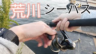 荒川　シーバス調査　2023年GW5月3日