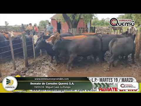 19-03-24 - Remate de Cereales Quemú S.A. - Miguel Cané, La Pampa