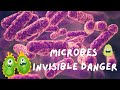 What Is Microbiology Discover The Science Of Tiny Life 4 Minutes