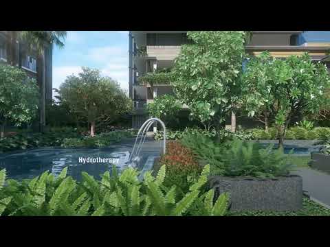 MIDWOOD Video