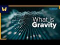 What is Gravity? | Wondrium Perspectives