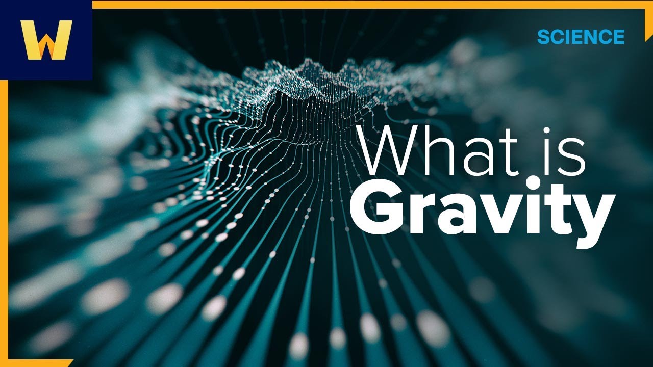 What is Gravity? | Wondrium Perspectives