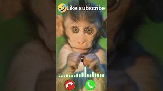 Download lagu baby monkey ringtone short trending mp3 Download lagu baby monkey ringtone short trending mp3