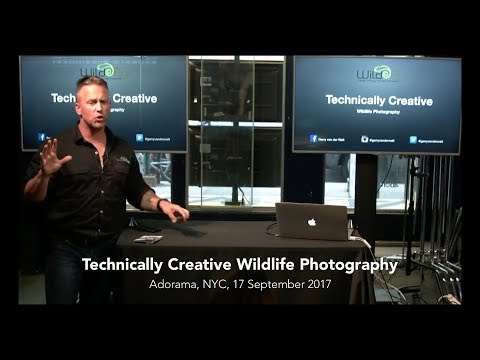 Adorama Presentation:  Technically Creative Wildlife Photography
