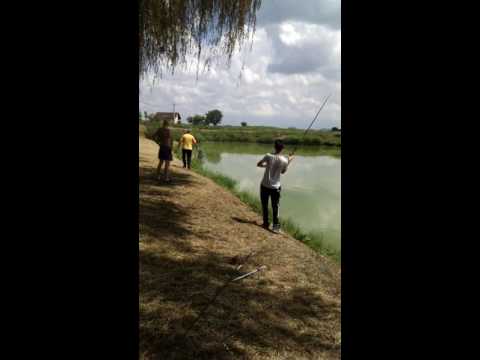 Crap ratat la milimetru