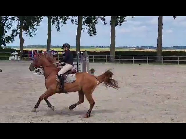 Show Class movie Comix Farani Z (Camargo x Kannan).