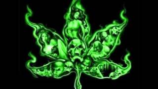 la yerba del rey-morodo