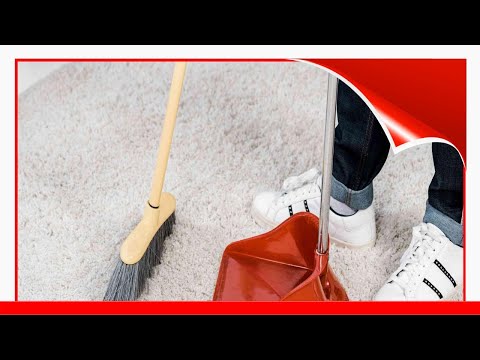 How To Clean A Carpet Without A Vacuum 🛋️