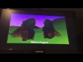 Opening To Madagascar DVD 2005 2014 Reprint Australia