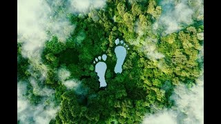 Basic Concept of Carbon Footprint. How it is Calculated? What is CO2e? 👣
