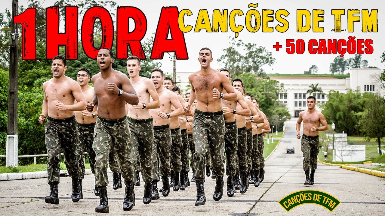 1 HORA DE CANÇÕES DE TFM + DE 50 CANÇÕES