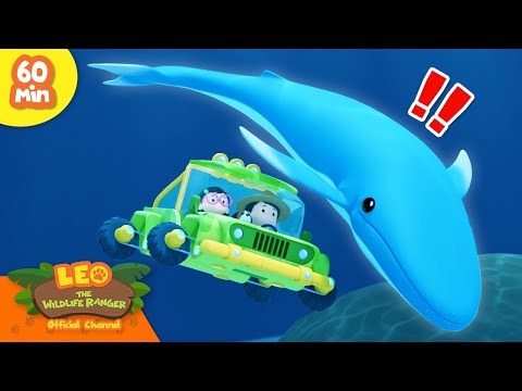 Witness21 Editor  2024 03 30