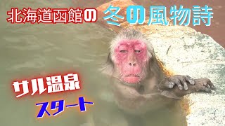 [問卦] 冬天泡溫泉的八卦?