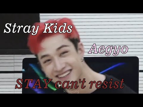Stray Kids Aegyo Can't Resist