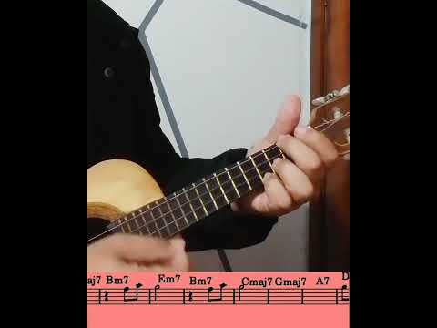 Pro Ceci - Sérgio Perrucho