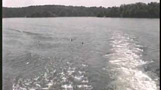 preview picture of video 'Chased by ducks at Lake Cumberland KY'