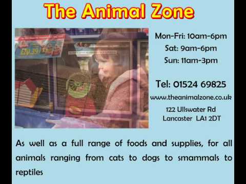 The Animal Zone Lancaster, probably the best pet shop in the world