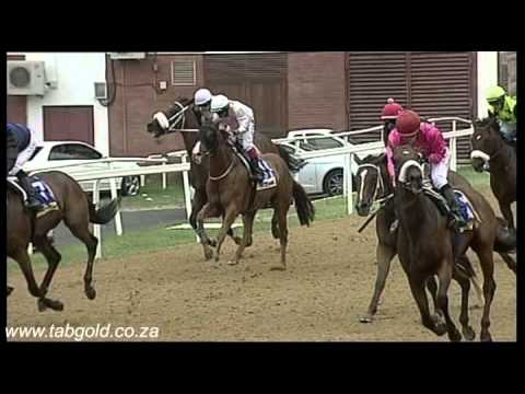 20150308 Greyville Race 6 won by ZE TZAR