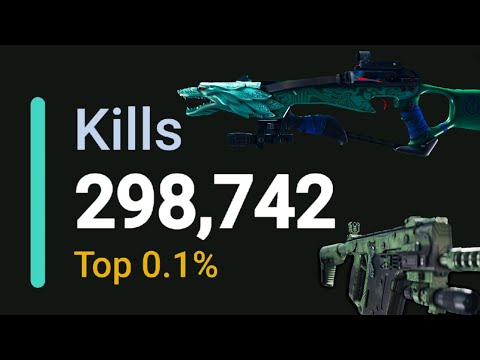 Grinding to 300,000 KILLS (4.42 K/D) RANK S887